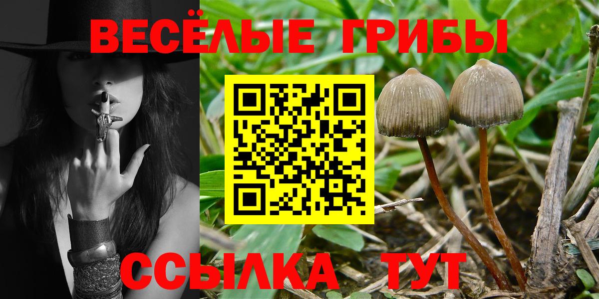 Псилоцибиновые грибы Cubensis  Псилоцибиновые грибы мухоморы  Вход с VPN  Энгельс 