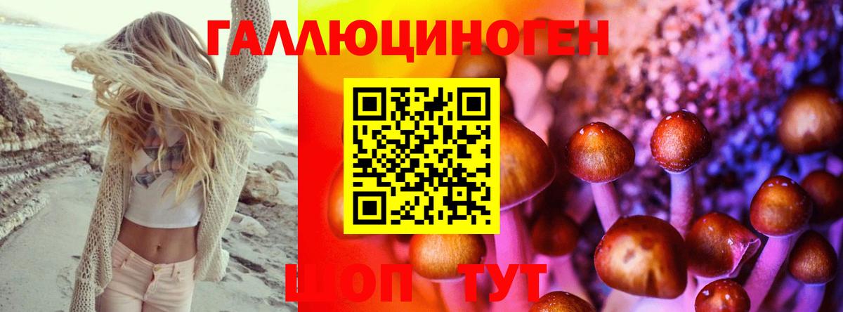 Псилоцибиновые грибы Cubensis Энгельс